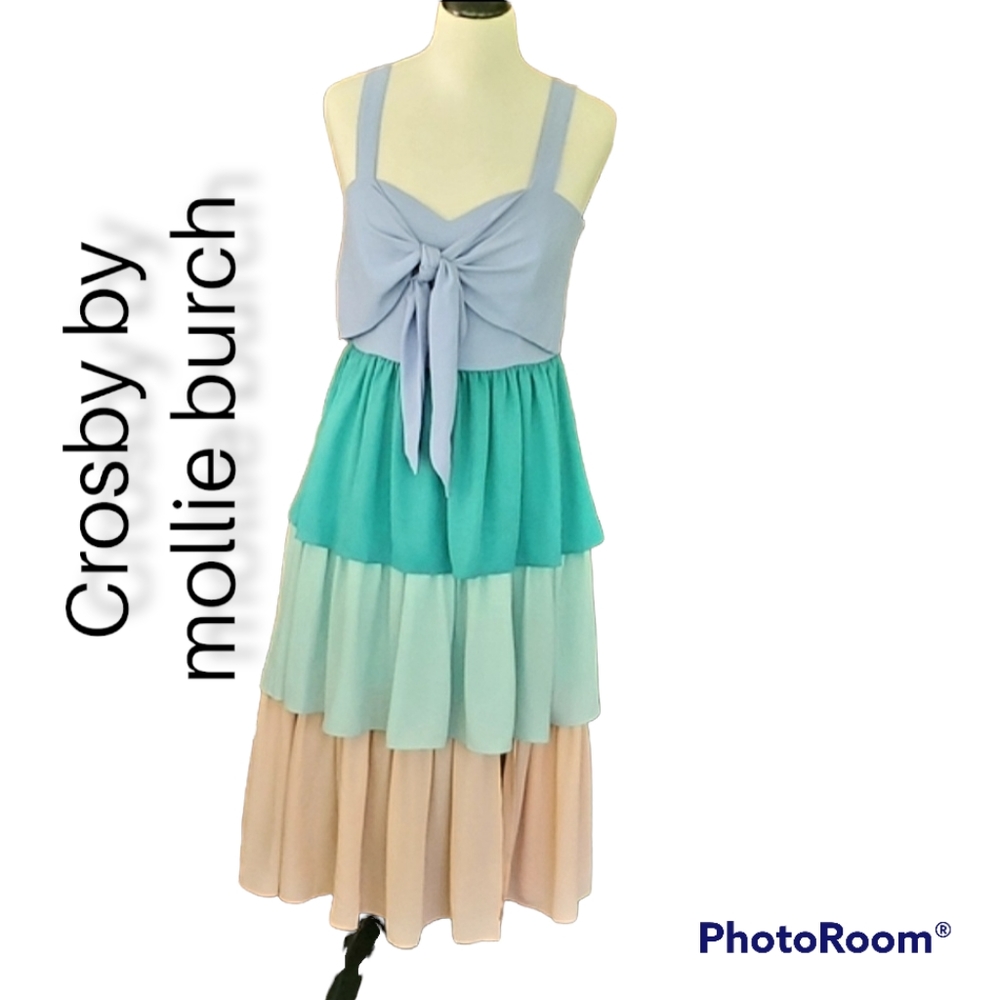 Crosby by Mollie Burch dress S